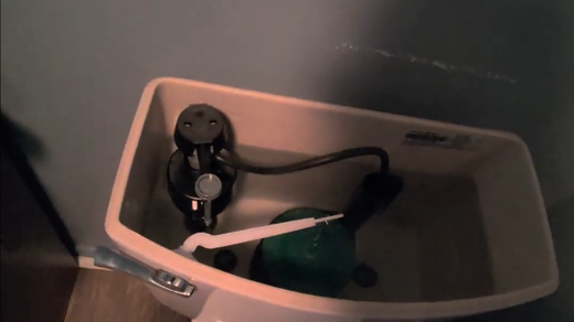 Toilet Leak